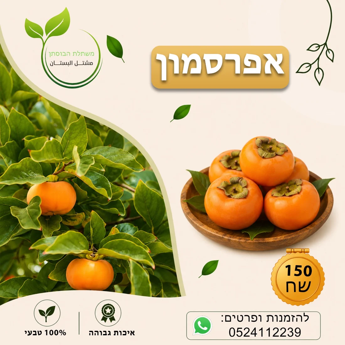 אפרסמון — תמונת פרי להמחשה