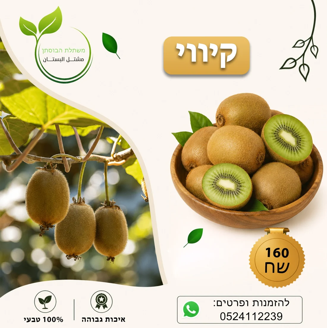 קיווי — תמונת פרי להמחשה