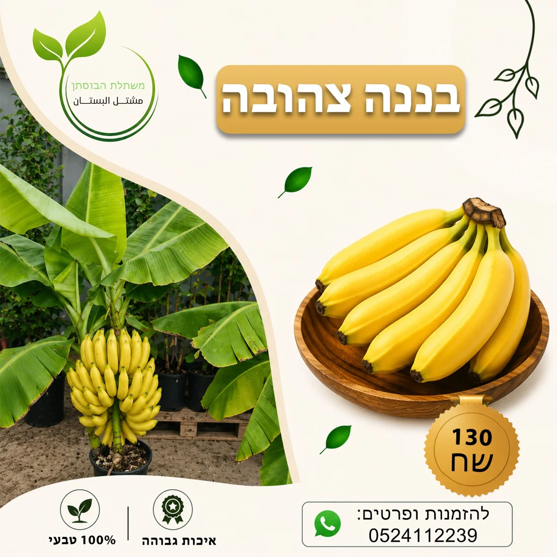 בננה צהובה — תמונת פרי להמחשה