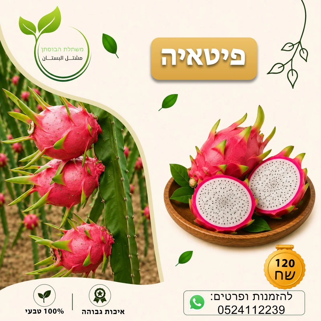 פיטאיה — תמונת פרי להמחשה