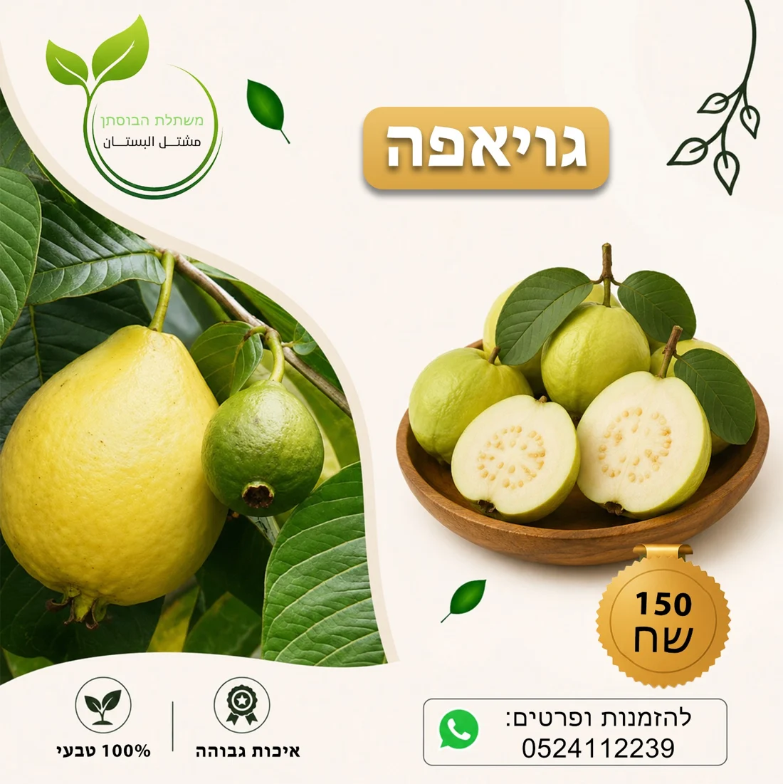 גויאבה — תמונת פרי להמחשה